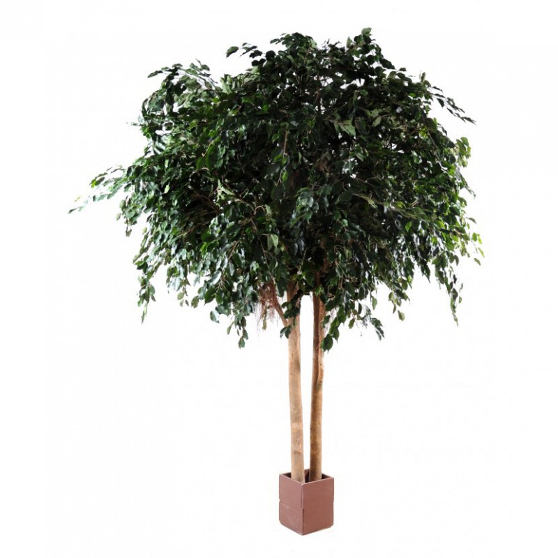 Ficus Artificiel Exotica Géant - Arbre synthétique d'intérieur