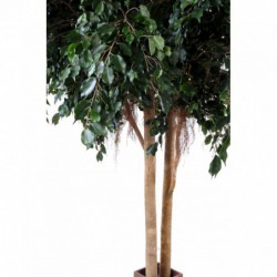 Ficus synthétique exotica géant