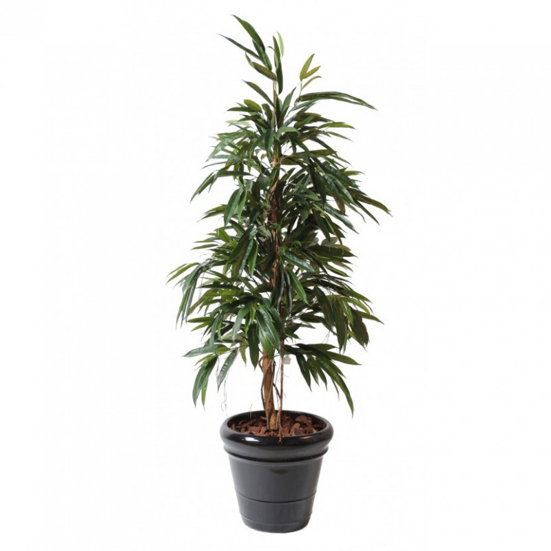 Ficus Artificiel Alii Bush Royal - 160(h) - Plante artificielle d'intérieur