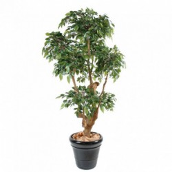 Ficus Artificiel Natasja 5 Tetes - Arbre artificiel de qualité