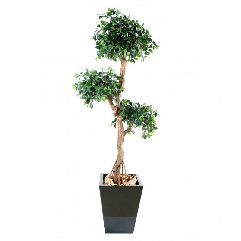 Ficus Artificiel Retusa Crazy - Arbre synthétique d'intérieur