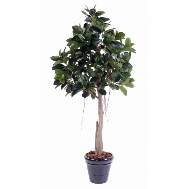 Rubbert Plant Tree Artificiel - Ficus artificiel de qualité