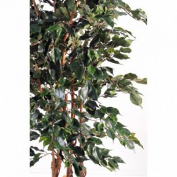 Ficus plante artificielle
