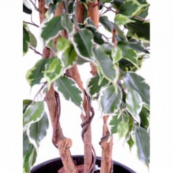 Ficus artificiel panaché