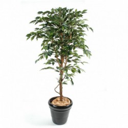 Ficus Artificiel Tronc Simple - 180(h) - Arbre artificiel d'intérieur