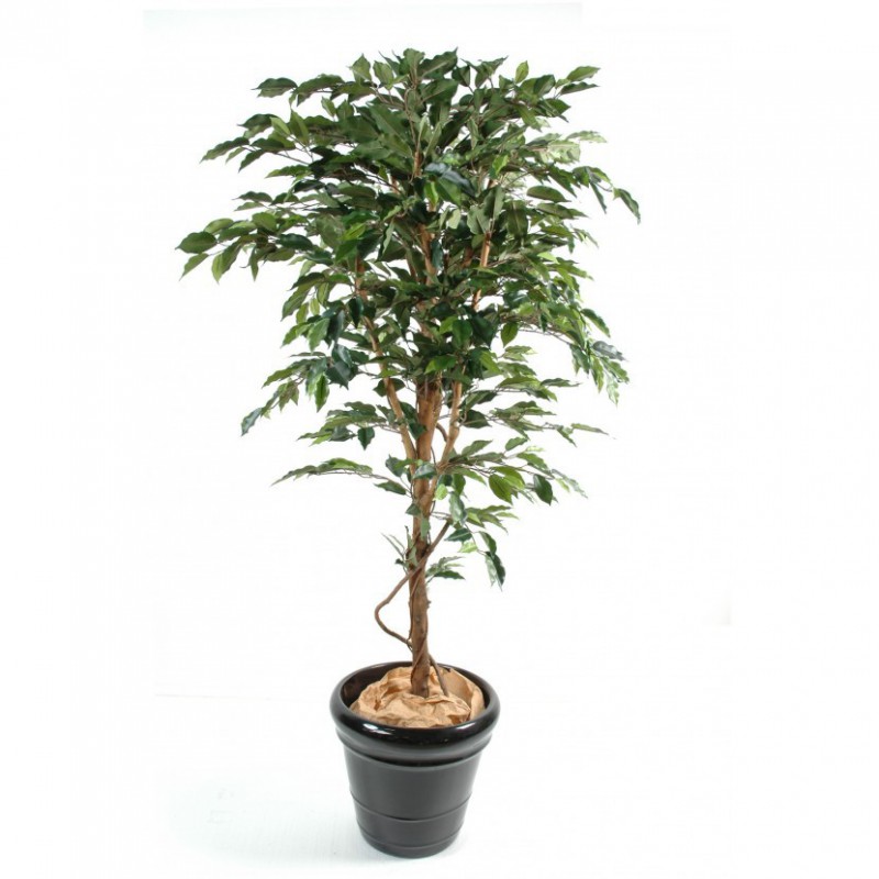 Ficus Artificiel Tronc Simple - 210(h) - Arbre synthétique de qualité