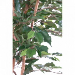 Ficus artificiel haut de gamme
