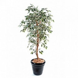 Ficus Artificiel Tronc Simple Panaché - 150(h) - Arbre artificiel