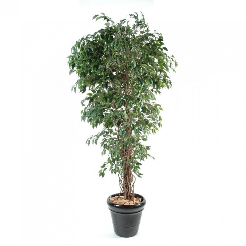 Ficus Artificiel Lianes Pf - 210(h) - Arbre artificiel vert
