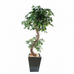 Ficus Artificiel S - Arbre artificiel haut de gamme intérieur