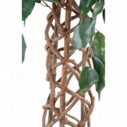 Ficus torsadé artificiel