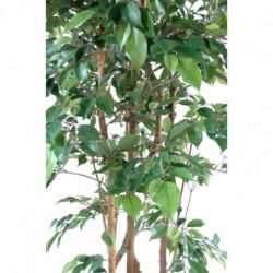 Ficus artificiel multitree 150cm