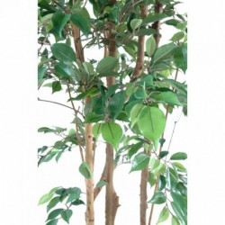 Ficus synthétique haut de gamme