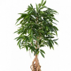 Arbre synthétique longifolia 180cm