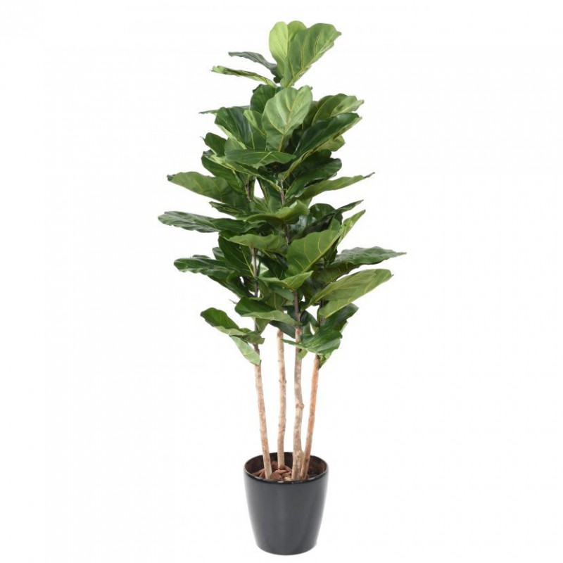 Lyrata Artificiel Multi Gf - Arbre artificiel intérieur Lyrata Artificiel Multi Gf - Arbre artificiel intérieur