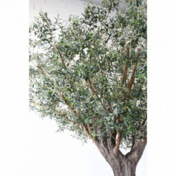Tête olivier artificiel