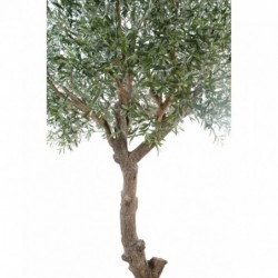 Tête d'olivier artificiel géant