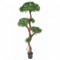 Podocarpus Artificiel Tree + pot