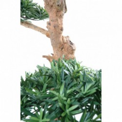 Podocarpus Artificiel Nuage Large