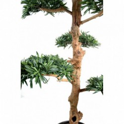 Podocarpus Artificiel - 180(h)