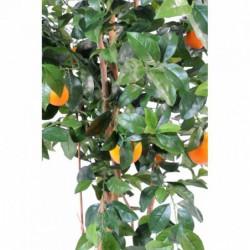 Oranger Artificiel 180 cm