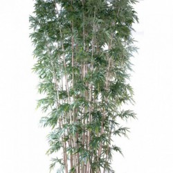 Bambou Artificiel New Geant - 700(h)