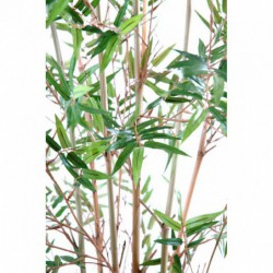 Bambou Artificiel New - 180(h)