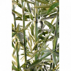 Bambou Artificiel Green - 120(h)