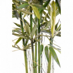 Bambou Artificiel Green - 210(h)