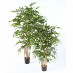 Bambou Artificiel Luxe - 210(h)