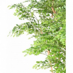 Acacia Artificiel - 150(h)