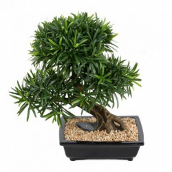 Bonsai Artificiel Podocarpus - 78(h)