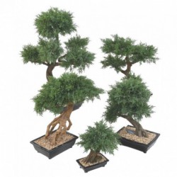Bonsai Juniperus Artificiel - 30(h)