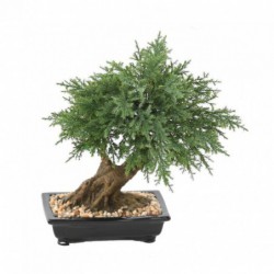 Bonsai artificiel juniperus en coupe 30 à 100 cm - bonsaïs