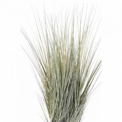 Onion Grass Artificiel Gv - 75(h)