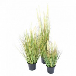 Onion Artificiel Grass Graine - 60(h)