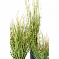 Onion Artificiel Grass Graine - 60(h)