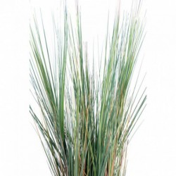 Onion Grass Artificiel - 95(h)
