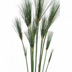 Papyrus Artificiel Cyperus - 125(h)