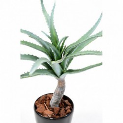 Aloe Artificiel Tronc
