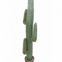 Cactus Artificiel Mexico Gr