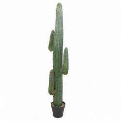 Cactus Artificiel Mexico Gr