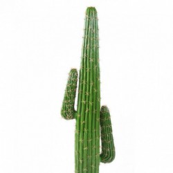 Cactus Artificiel Mexico New