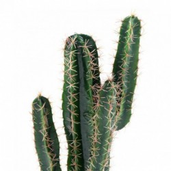 Cactus Artificiel Cereus - 70(h)