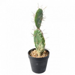 Cactus Artificiel - 58(h)