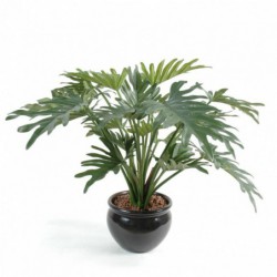 Philodendron Artificiel Selloum - 50(h)