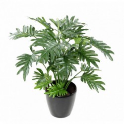Philodendron Artificiel Selloum - 63(h)