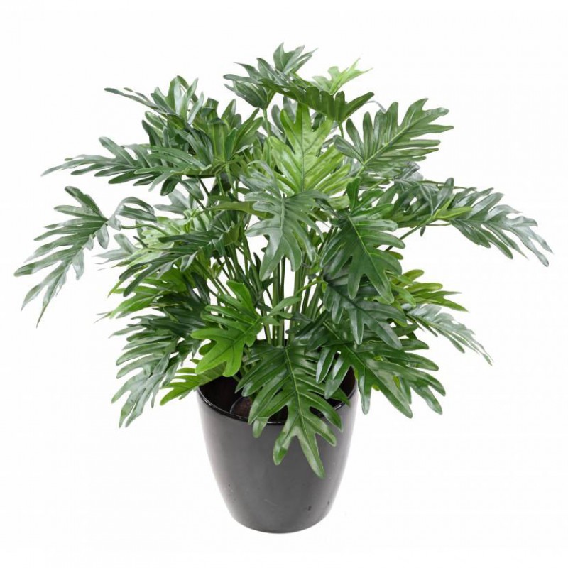 Philodendron Artificiel Selloum - 75(h)