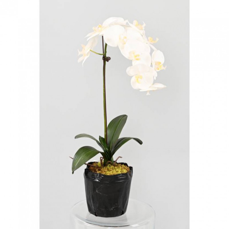 Orchidee artificielle phalaenopsis sur motte 35 cm - fleurs artificielles