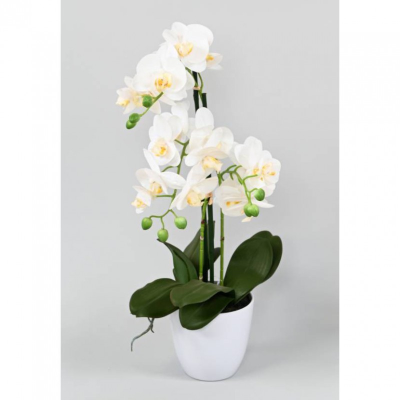 Phalaenopsis Artificielle Pot - Fausse orchidée blanche